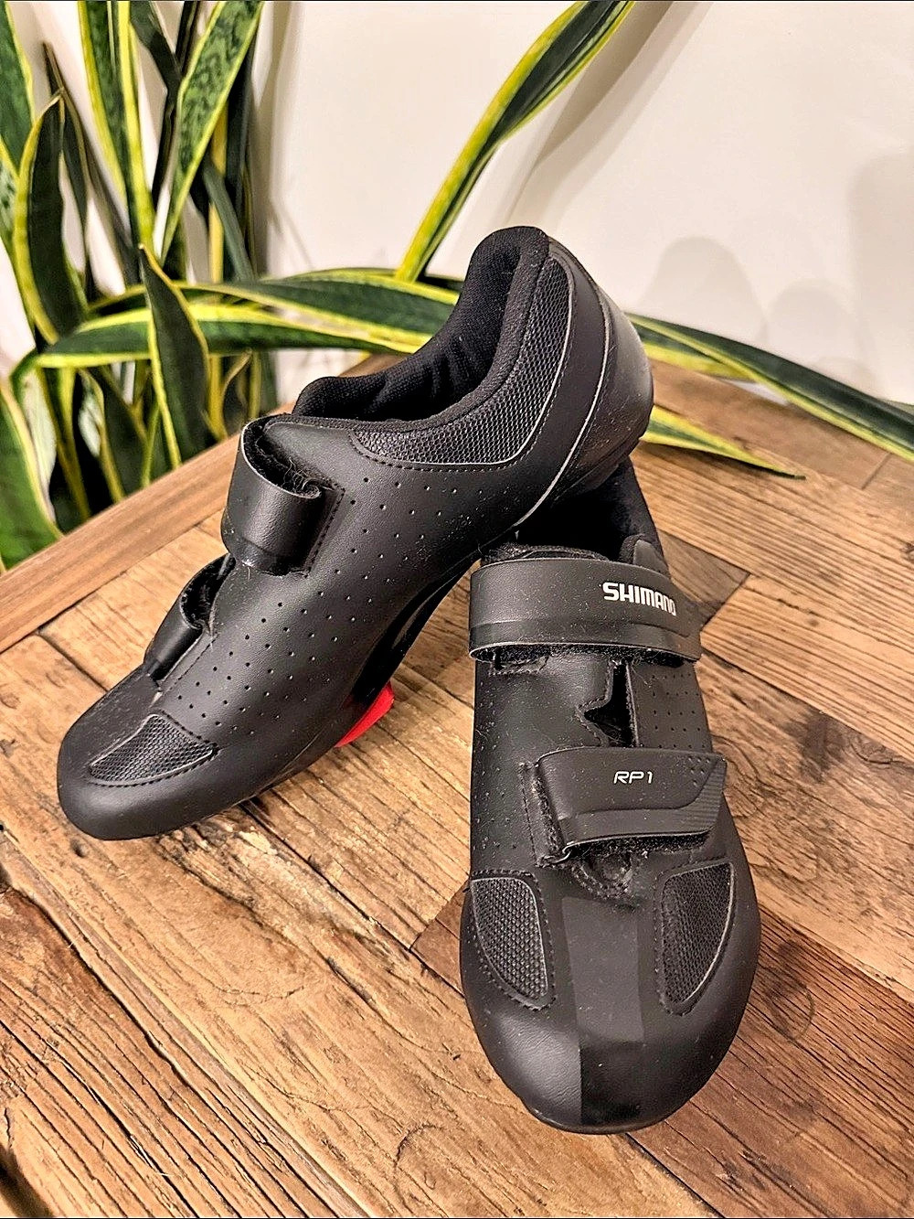 Shimano RP1 Cycling Shoes Black US 11
